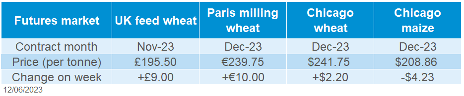 A table showing grain futures market movements.